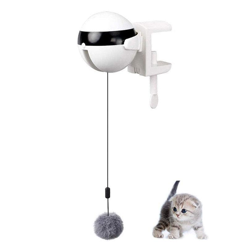 Brinquedo Para Gatos Caça Bolinha Petneon Jogo Para Gatos