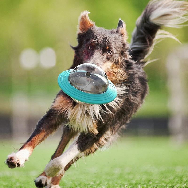 Brinquedo Para Cachorros e Gatos Libera Petisco Ração - FRETE GRÁTIS - lojarijoyshop