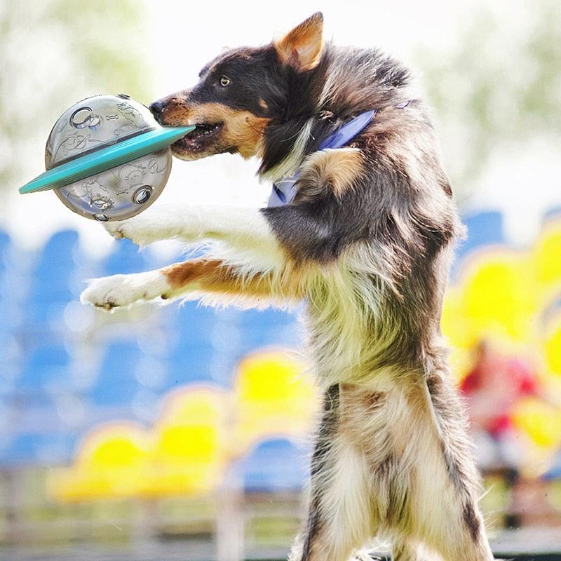 Brinquedo Para Cachorros e Gatos Libera Petisco Ração - FRETE GRÁTIS - lojarijoyshop